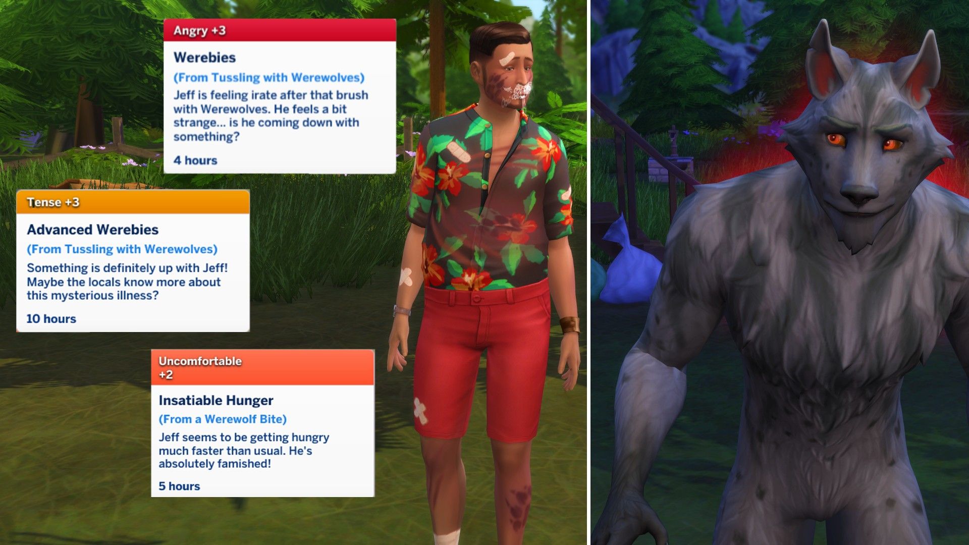 The stages of Wererabies and Greg from Sims 4 Werewolves