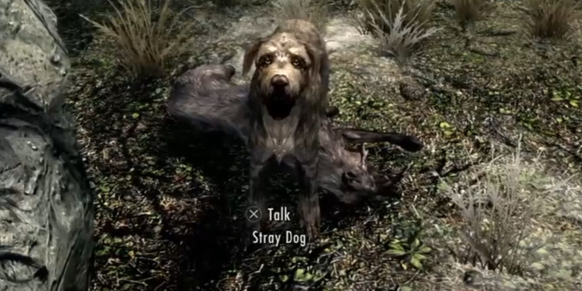 Skyrim Character Talking To A Stray Dog