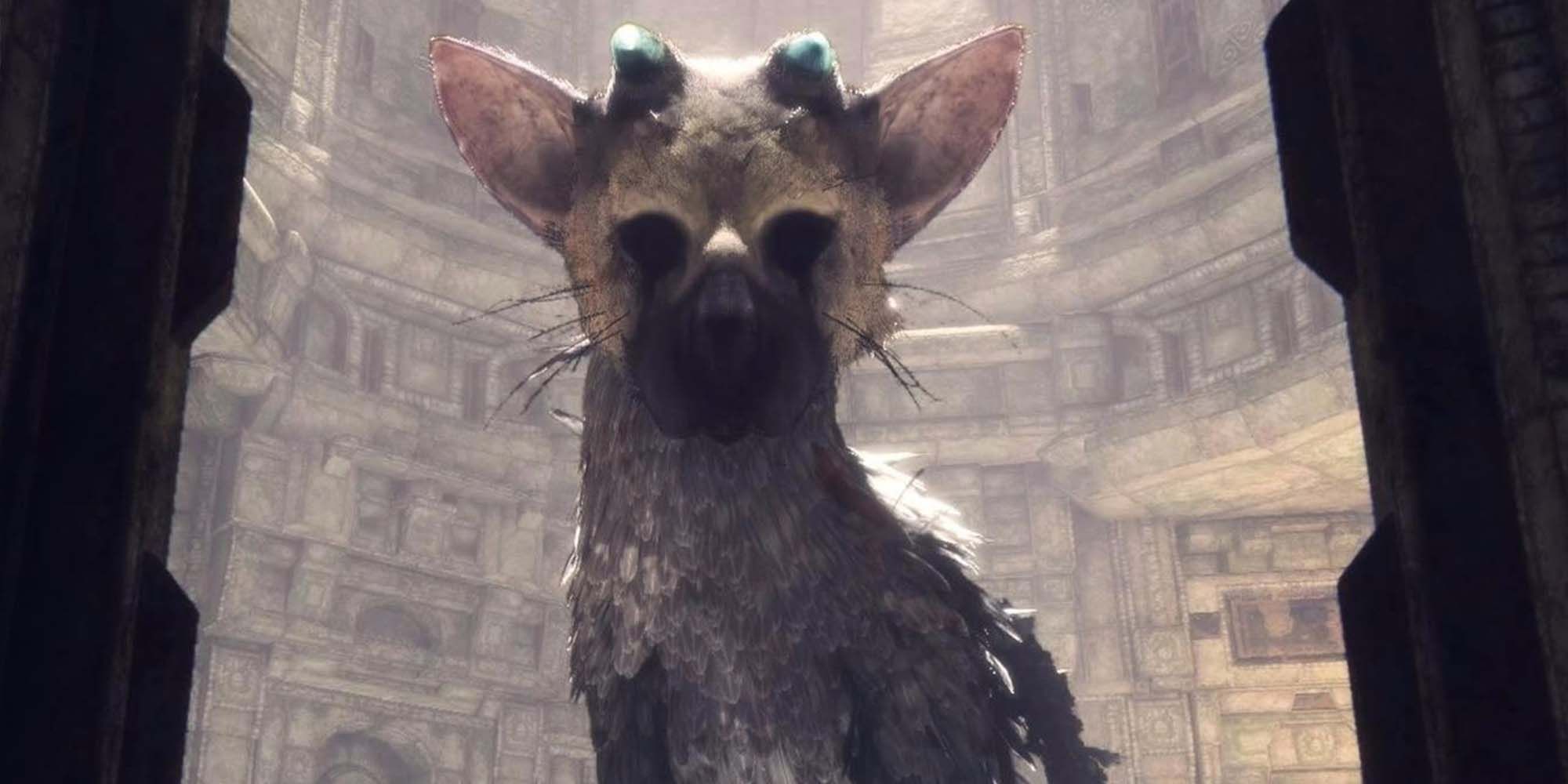 The Last Trico Guardian