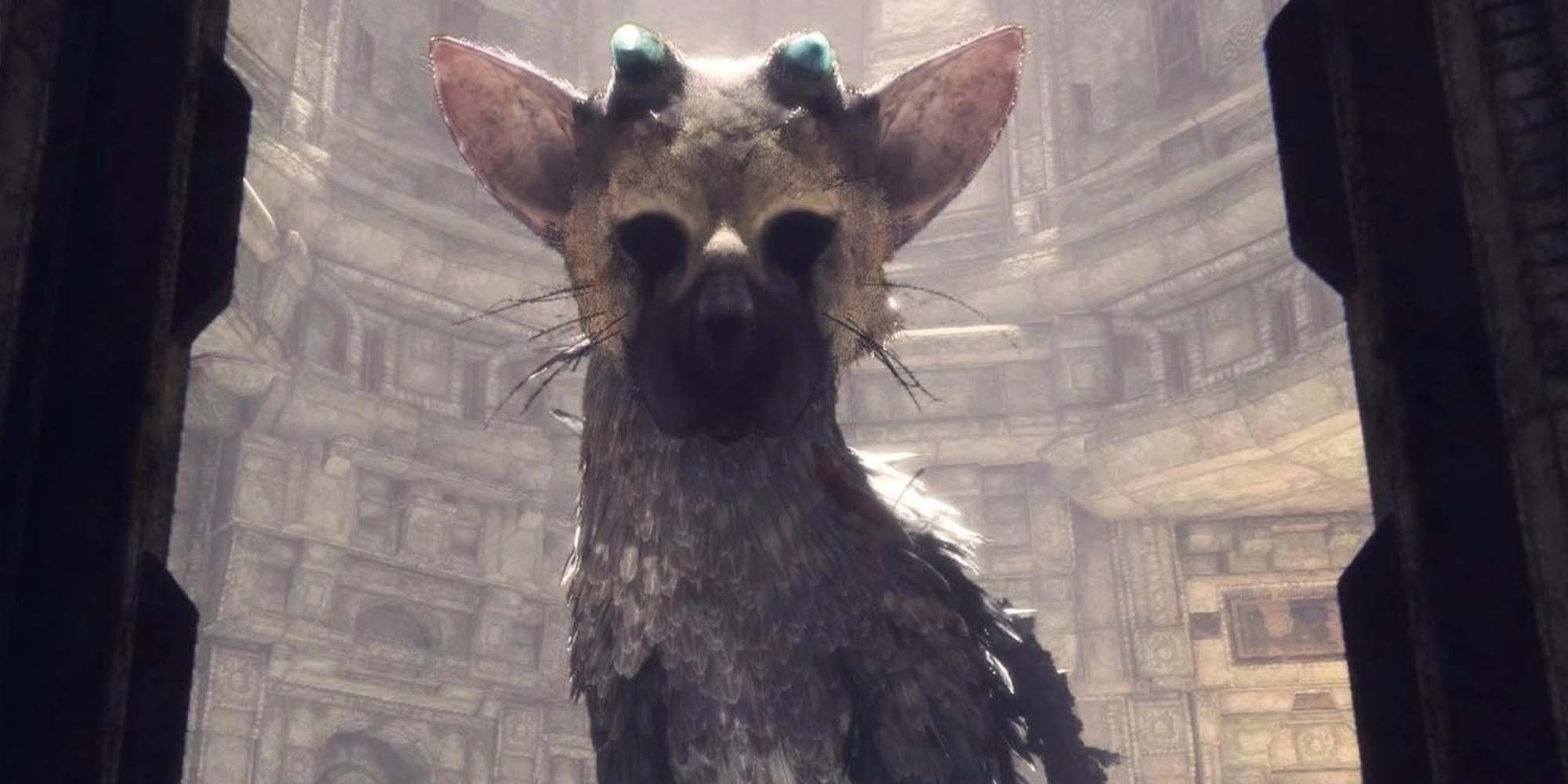 The Last Guardian Trico