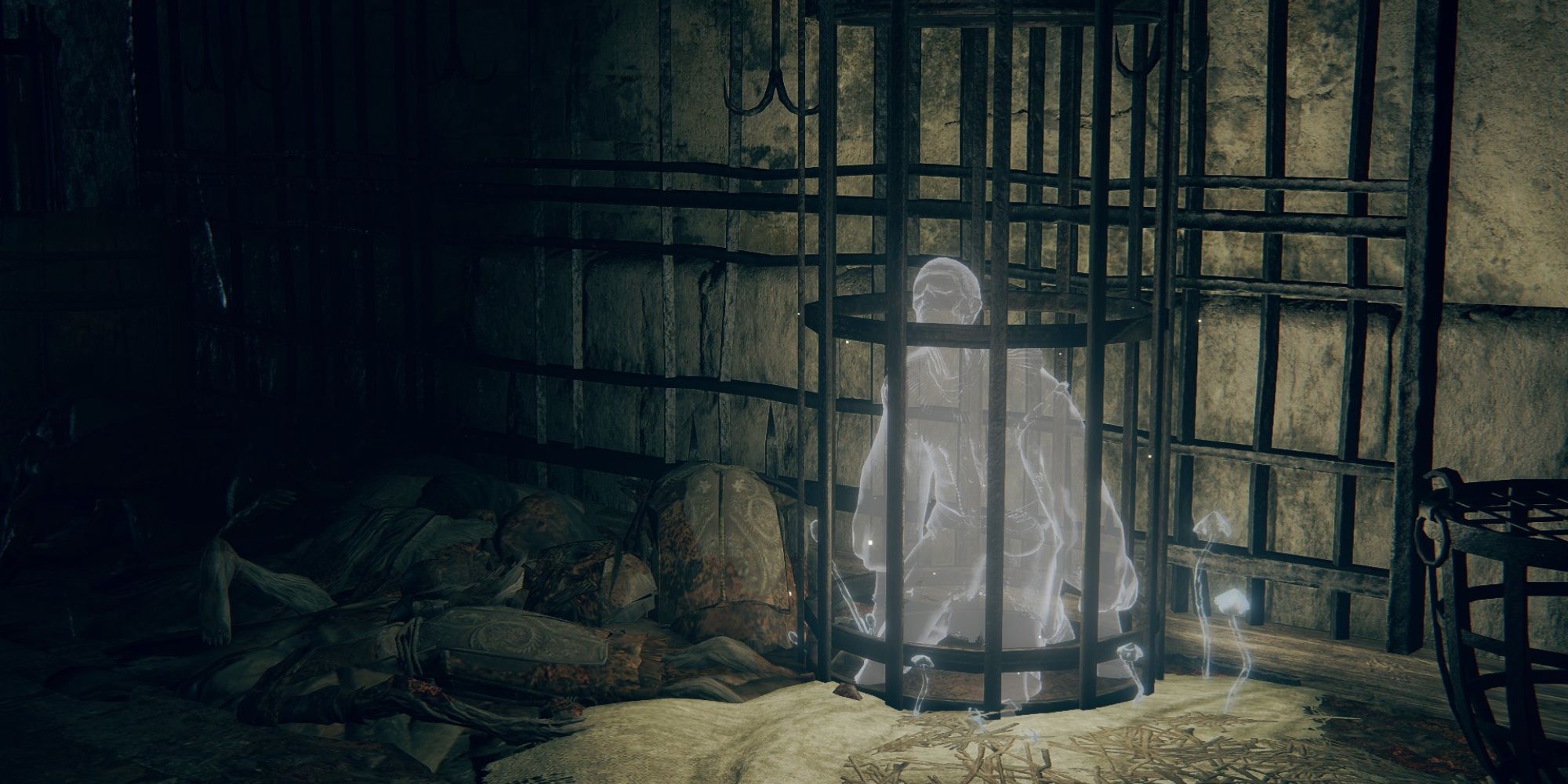 Elden Ring screenshot showing ghost in cage at Castle Morne.