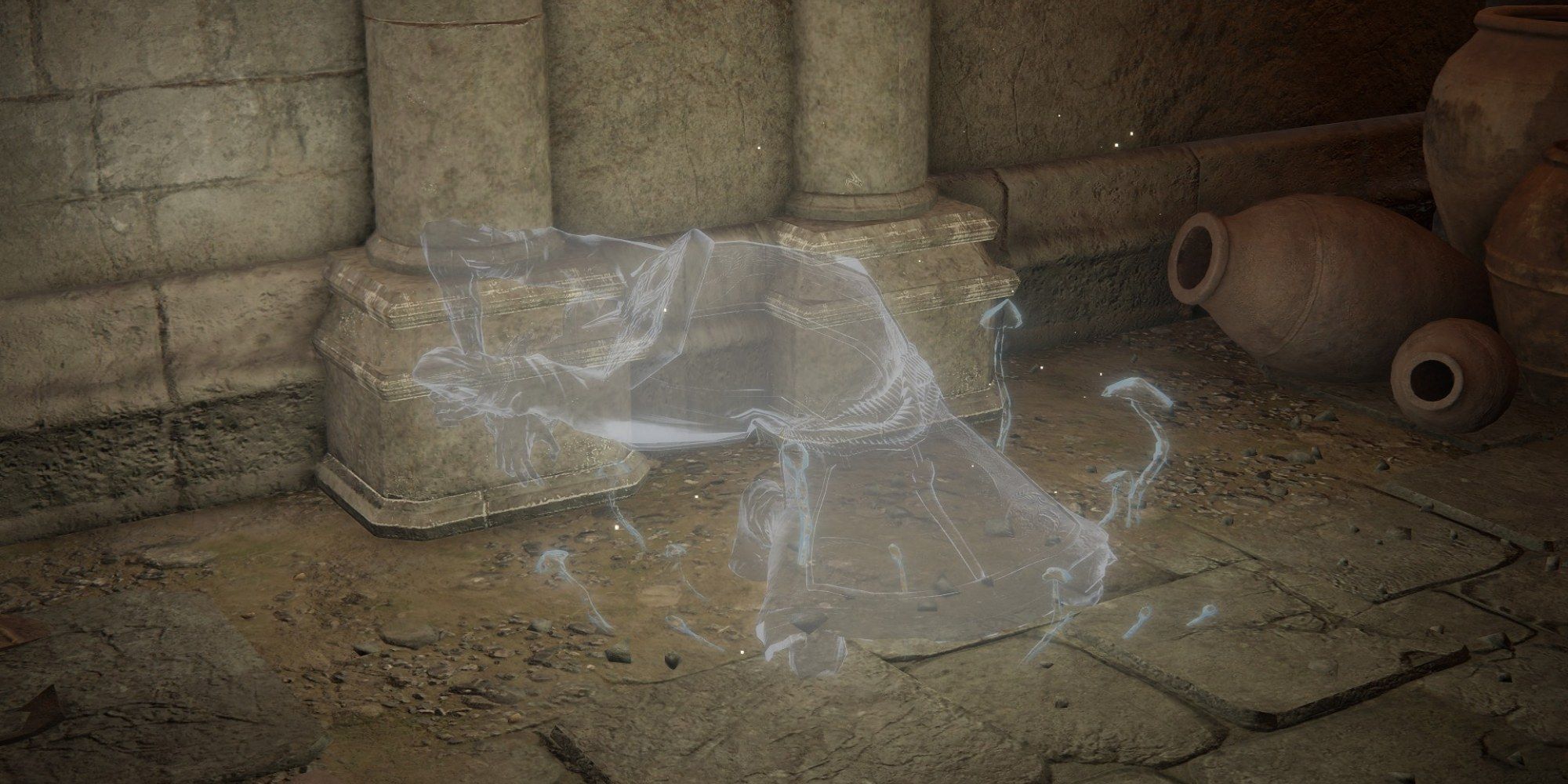 Elden Ring screenshot showing shabriri grape ghost.