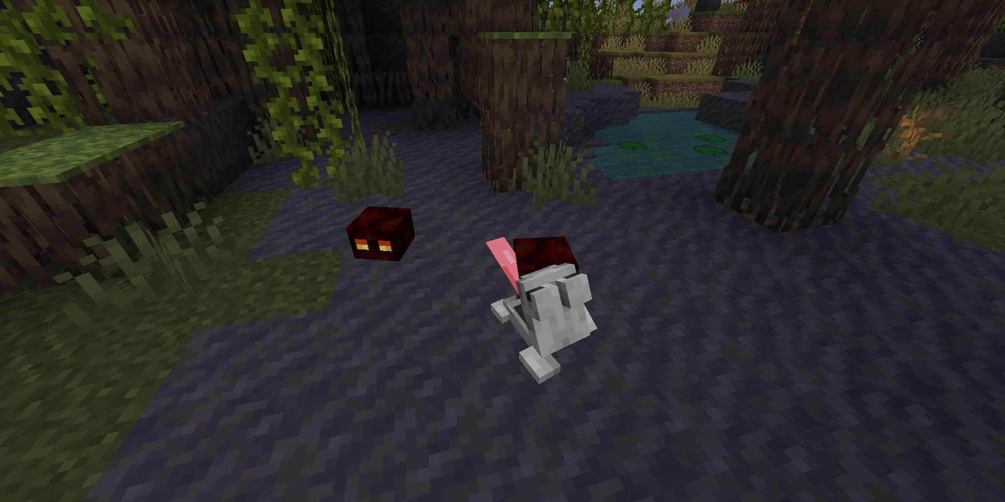 How to Tame a Frog in Minecraft: A Guide for Beginners