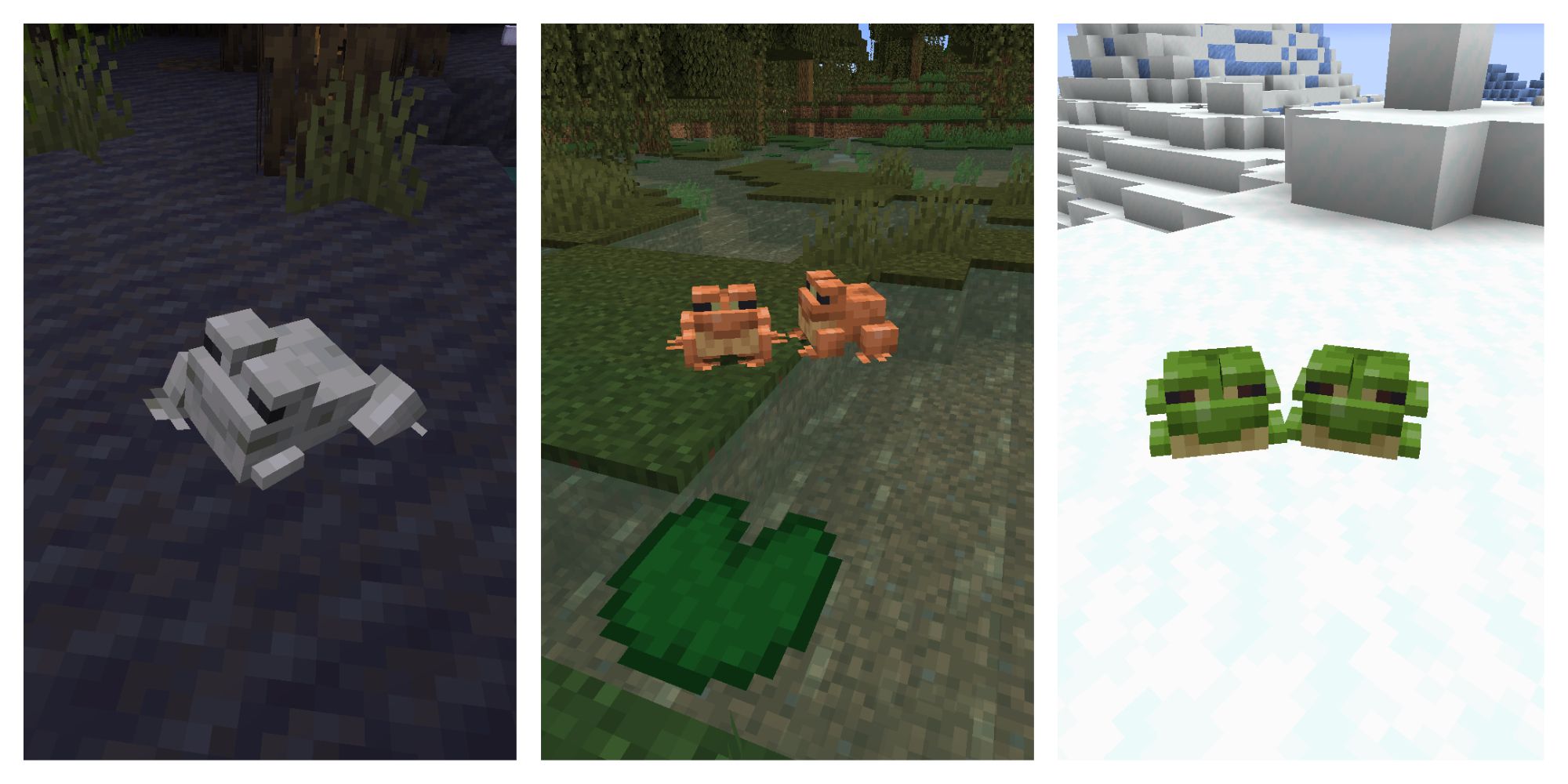 I tried EVERY FROG in Minecraft 