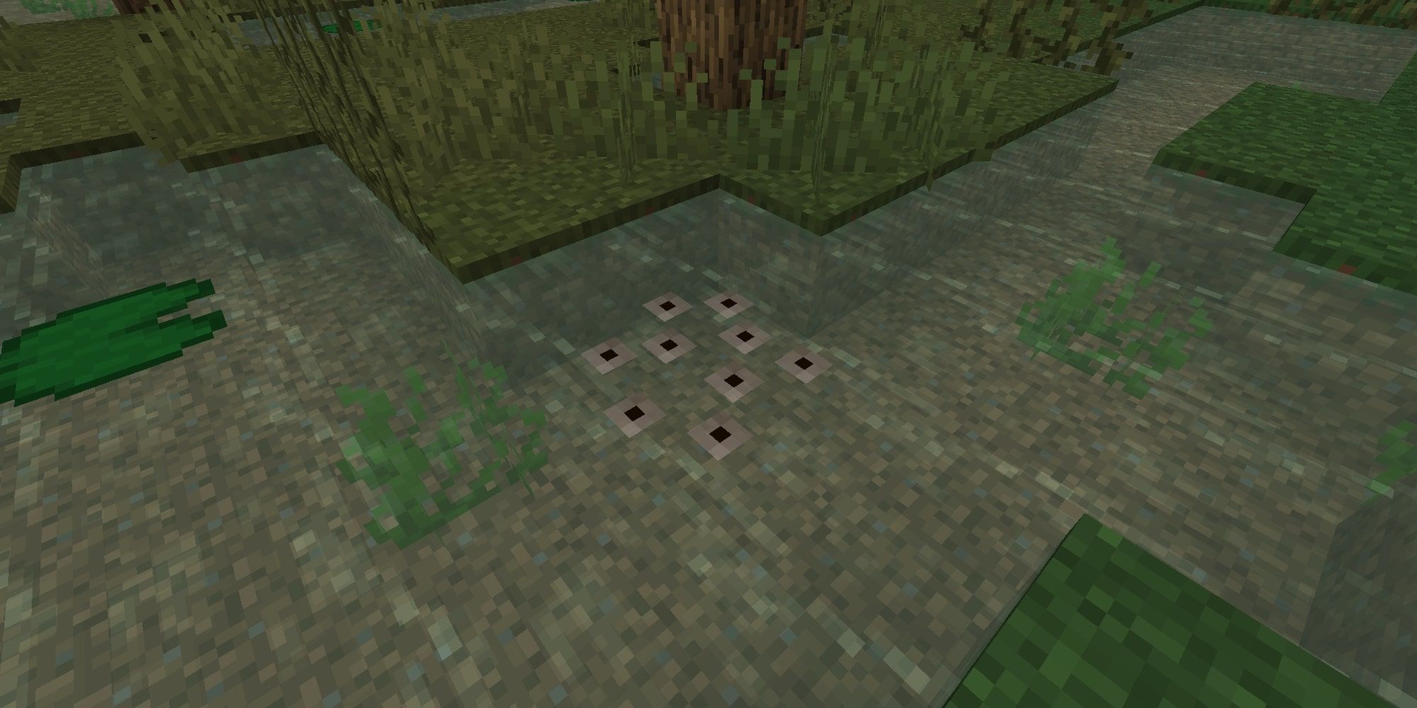 minecraft frogspawn