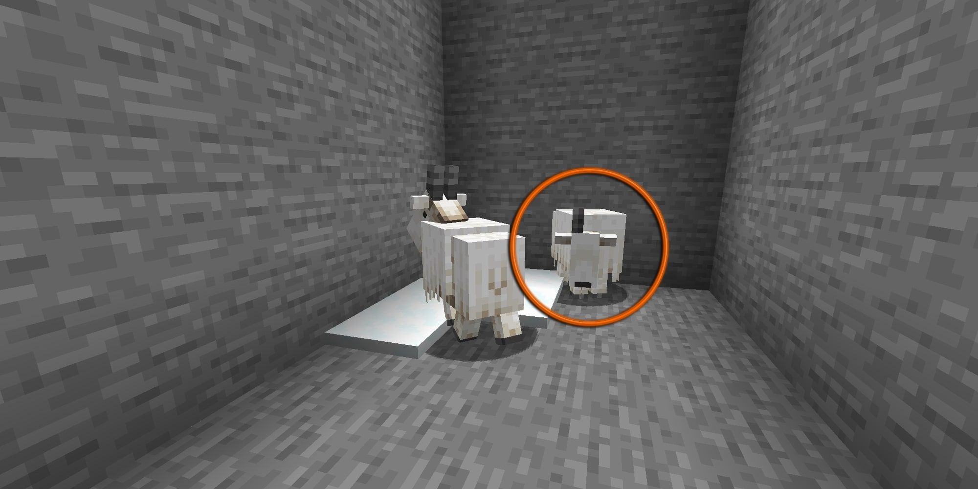 minecraft goat about to charge