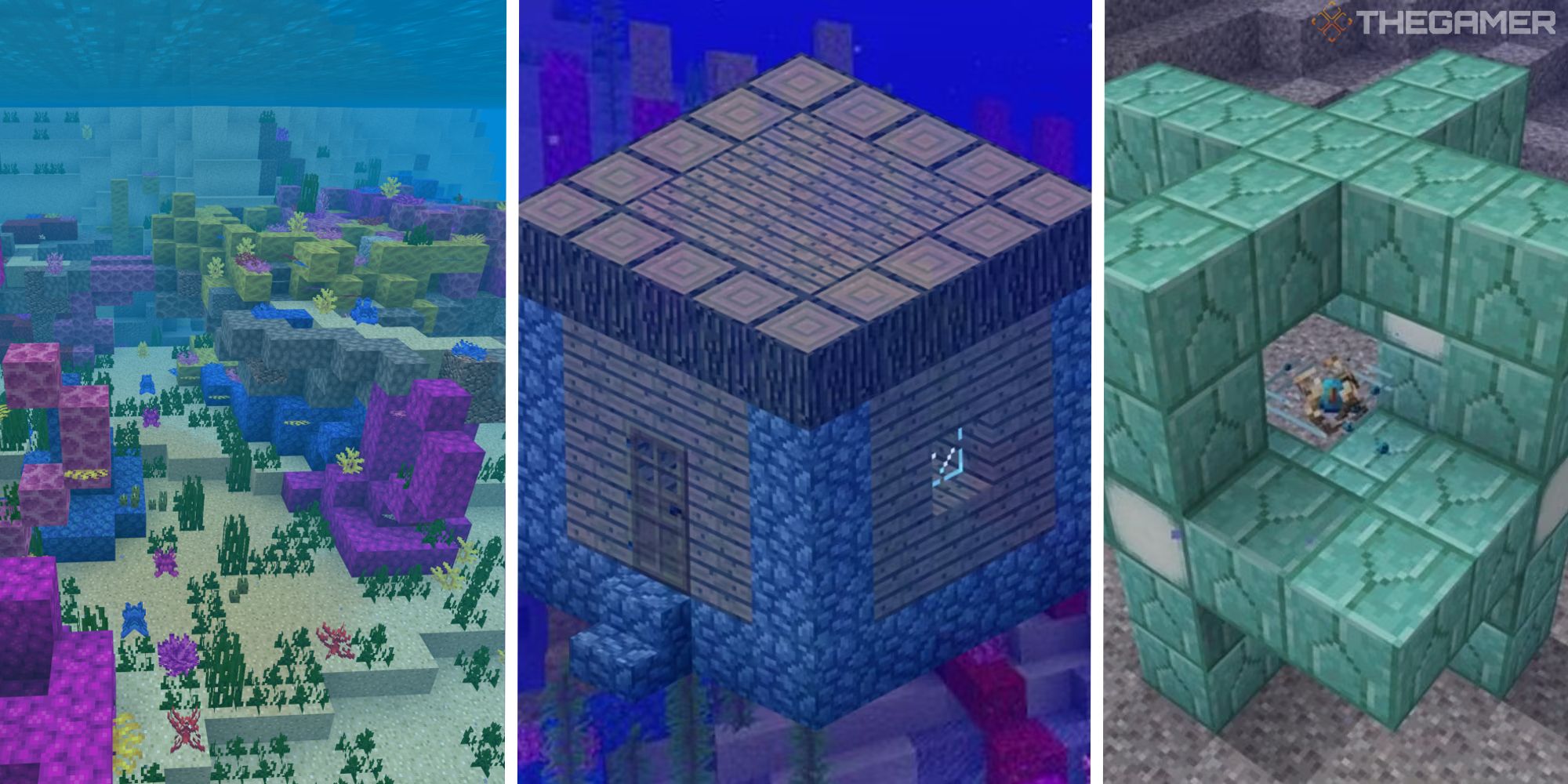 split image with coral reef, underwater house, and conduit