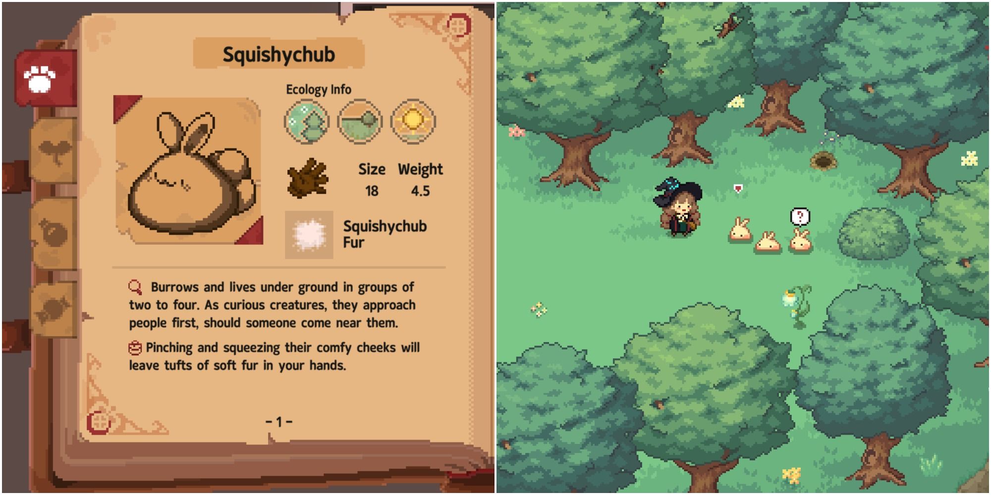 Split image of Squishychub journal entry and Ellie standing in woods beside three Squishychubs
