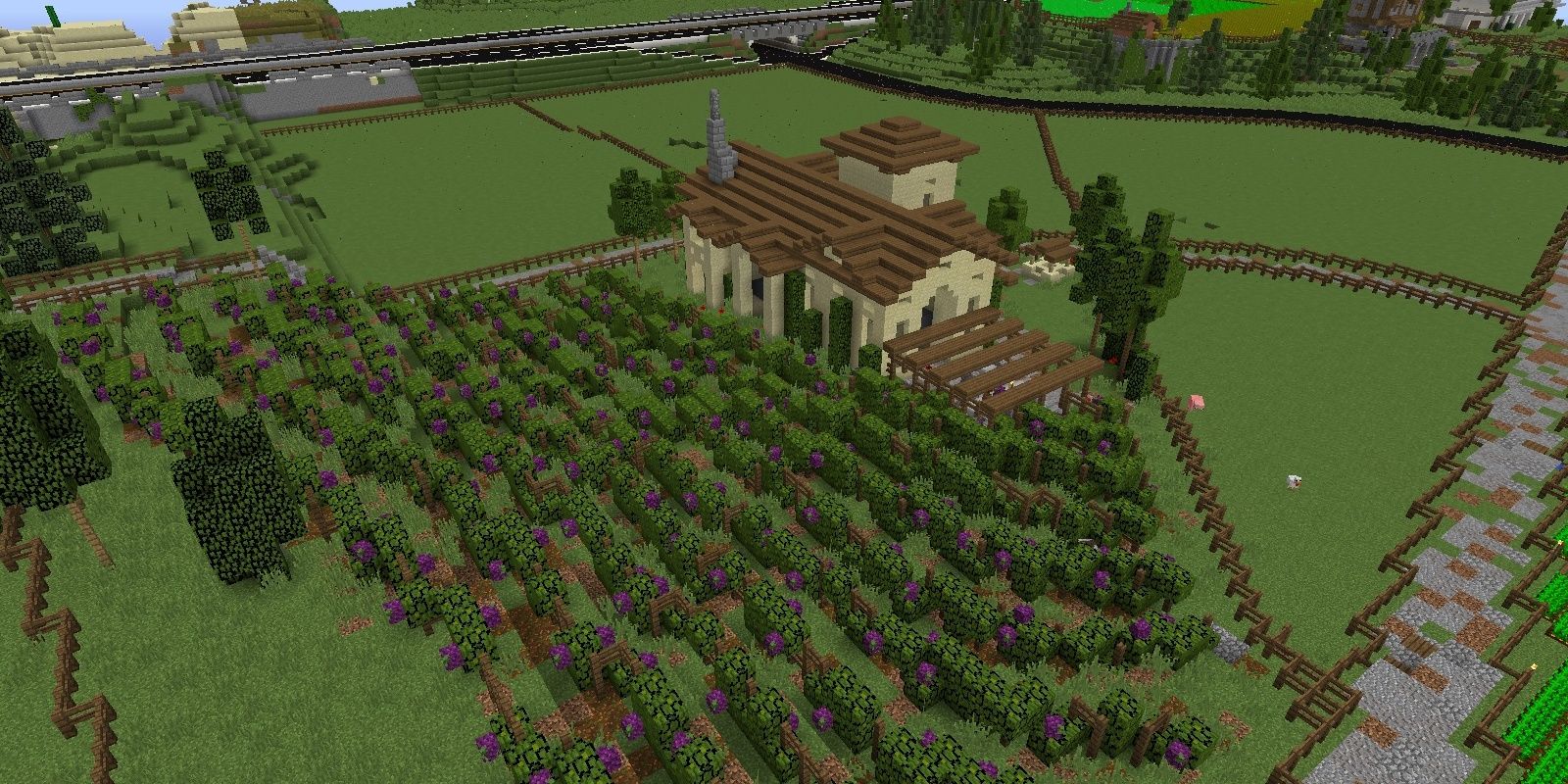 Rlcraft Grape Vines House In Plains Vineyard