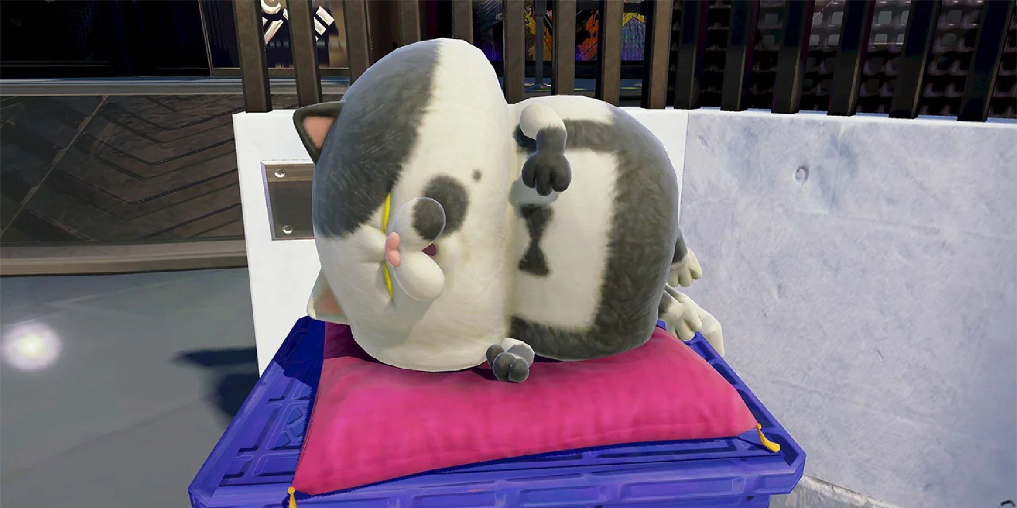 A screenshot of Splatoon, showing Judd the cat taking a nap on a velvet cushion