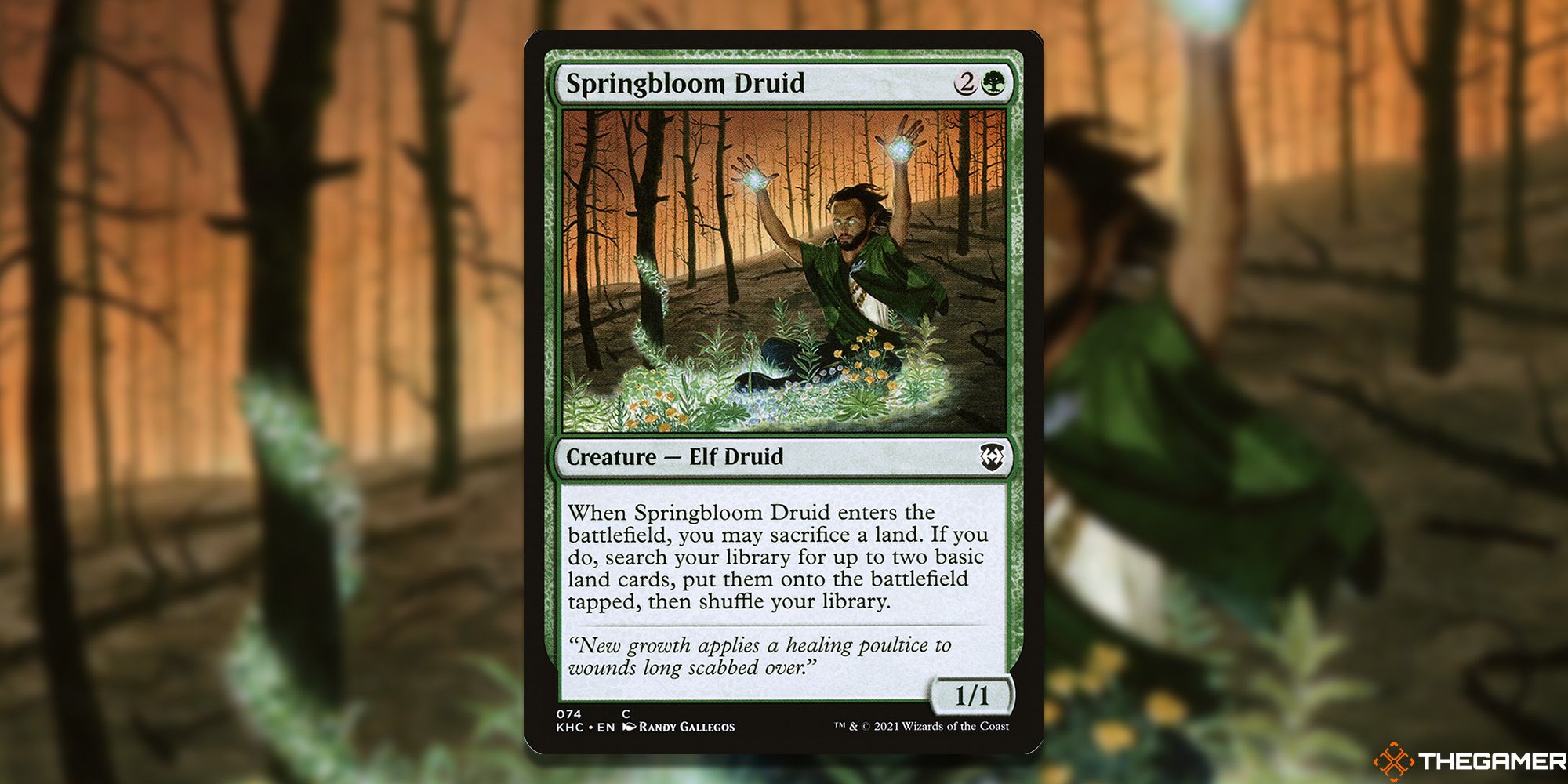 springbloom druid