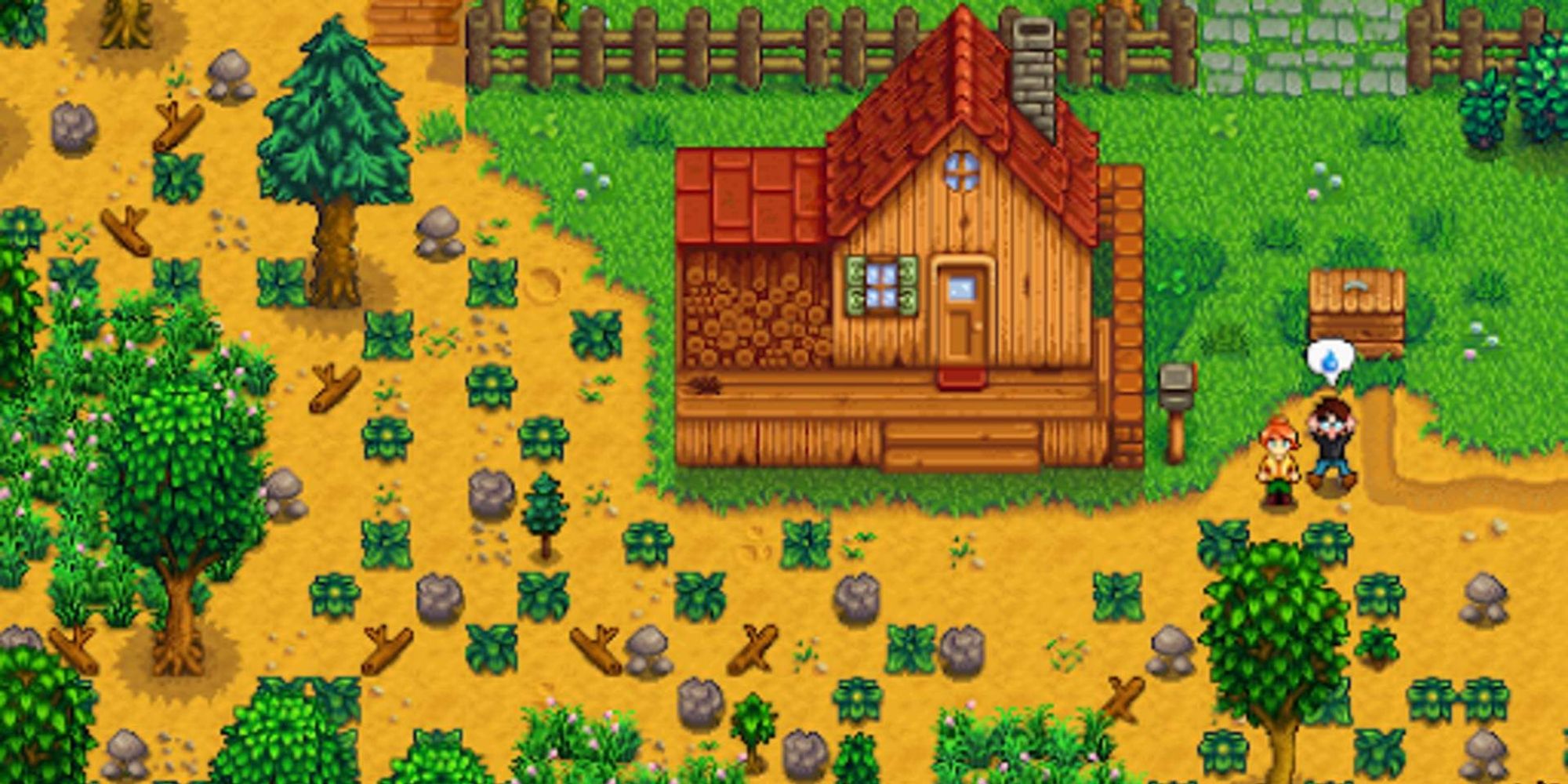 player looking at their overgrown farm with robin
