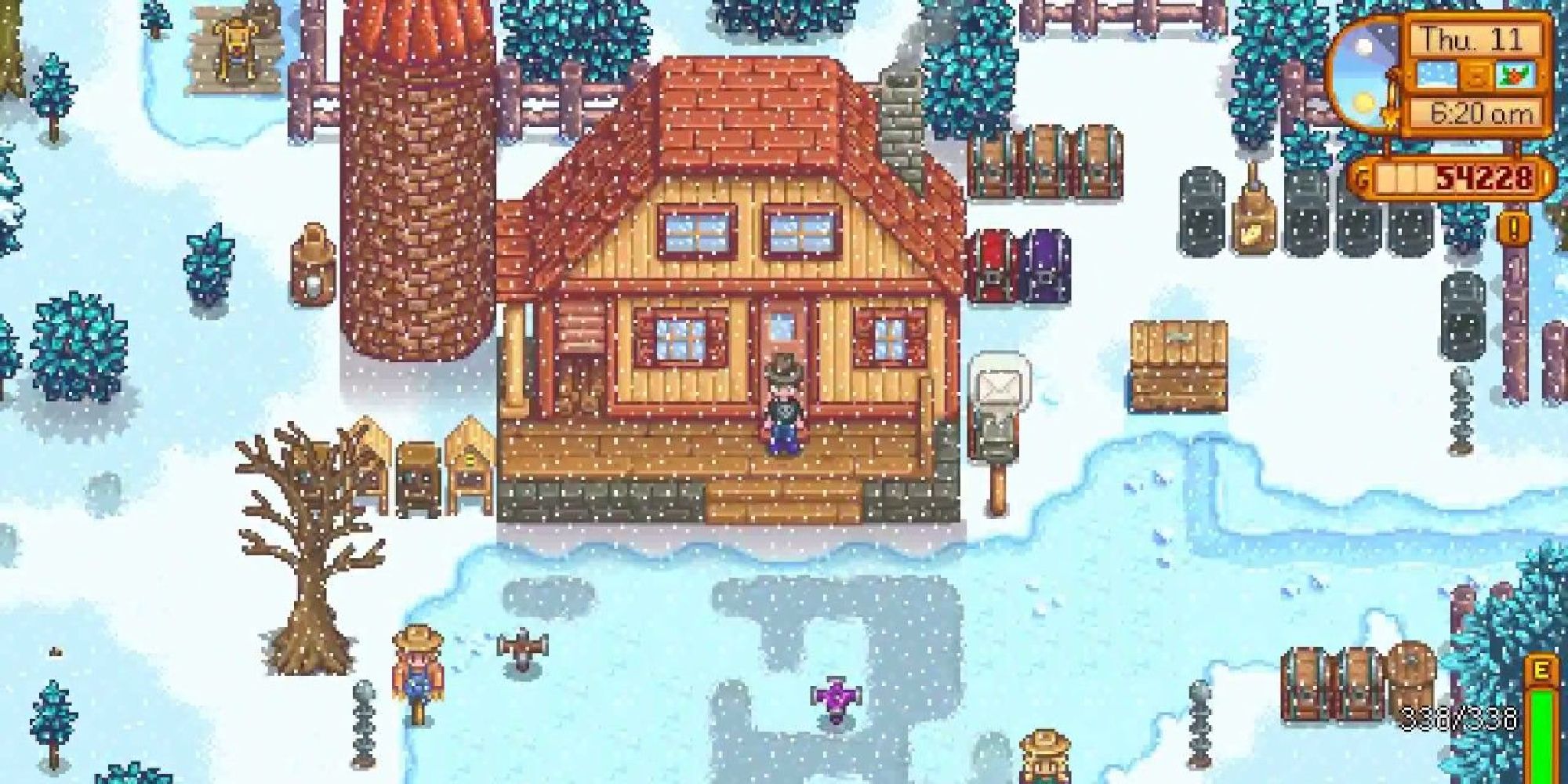 player standing on porch on winter 11