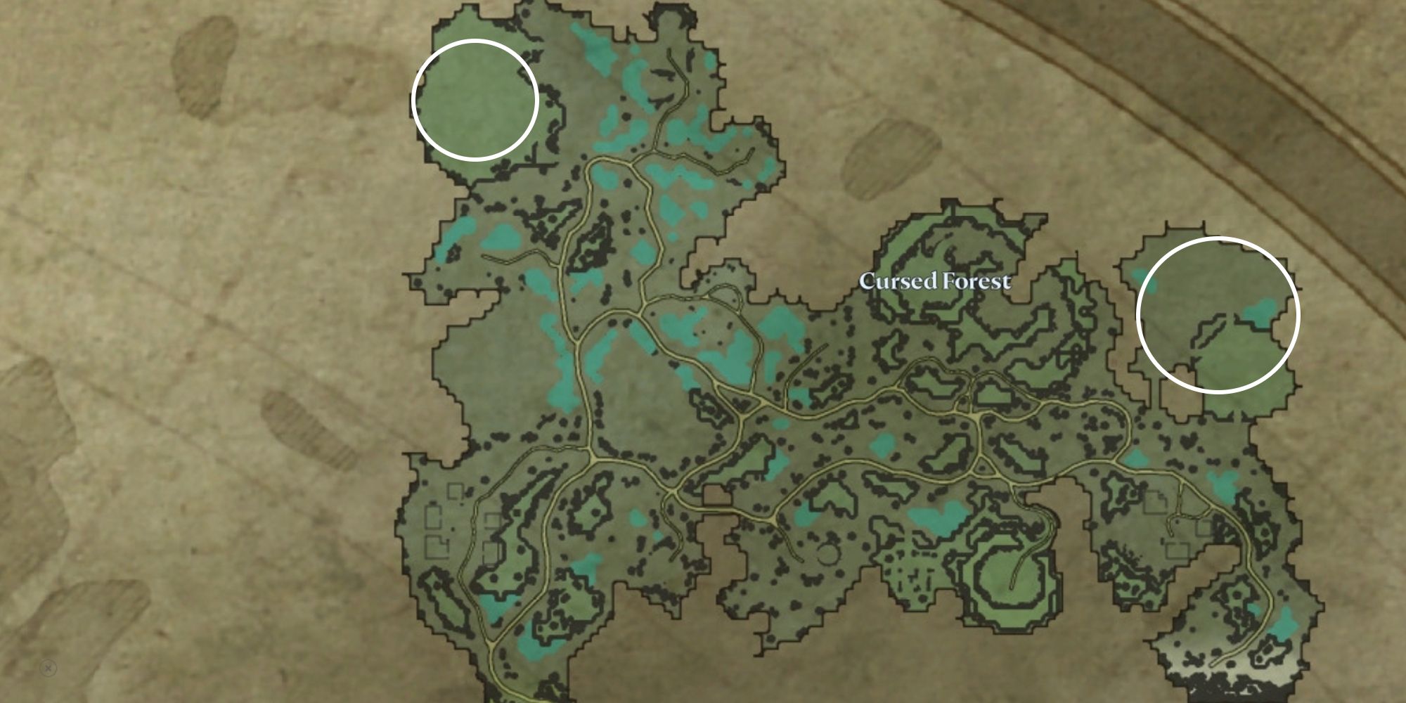 map of cursed forest with potential castle build locations circled