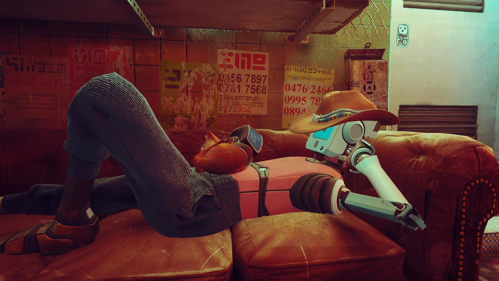 Stray sleeping on a robot