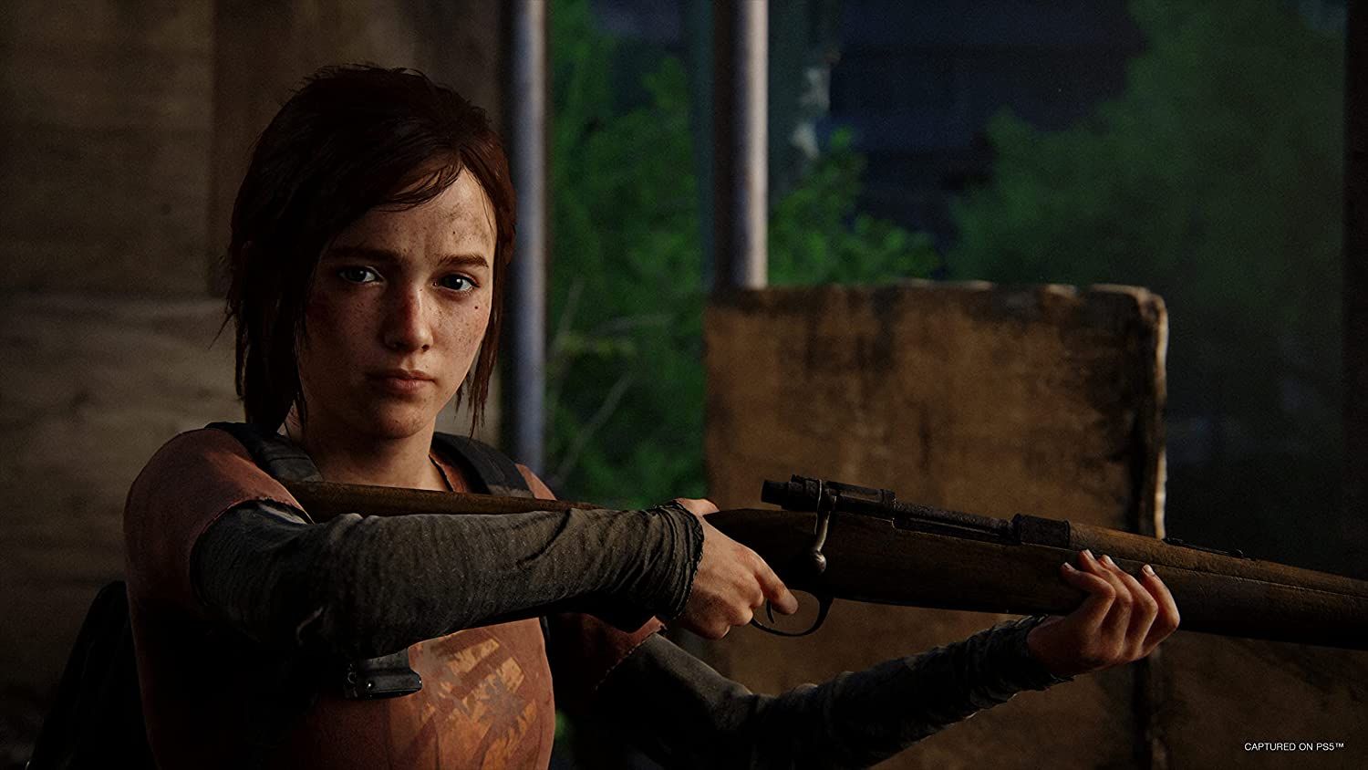 The Last Of Us