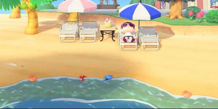 Animal-Crossing-New-Horizons-Beach-Shells.jpg (740×370)