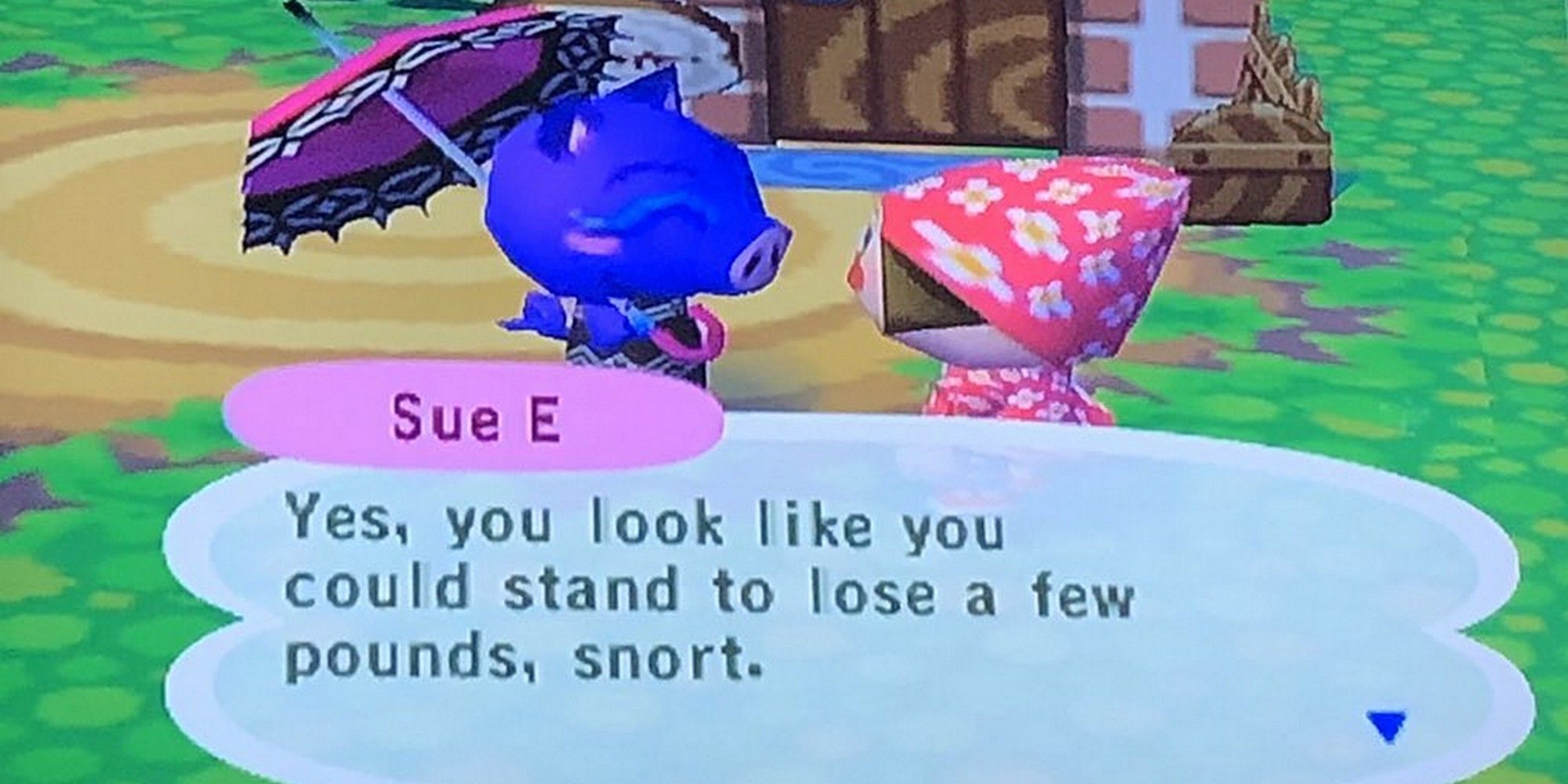 Animal Crossing Sue E Pig Villager