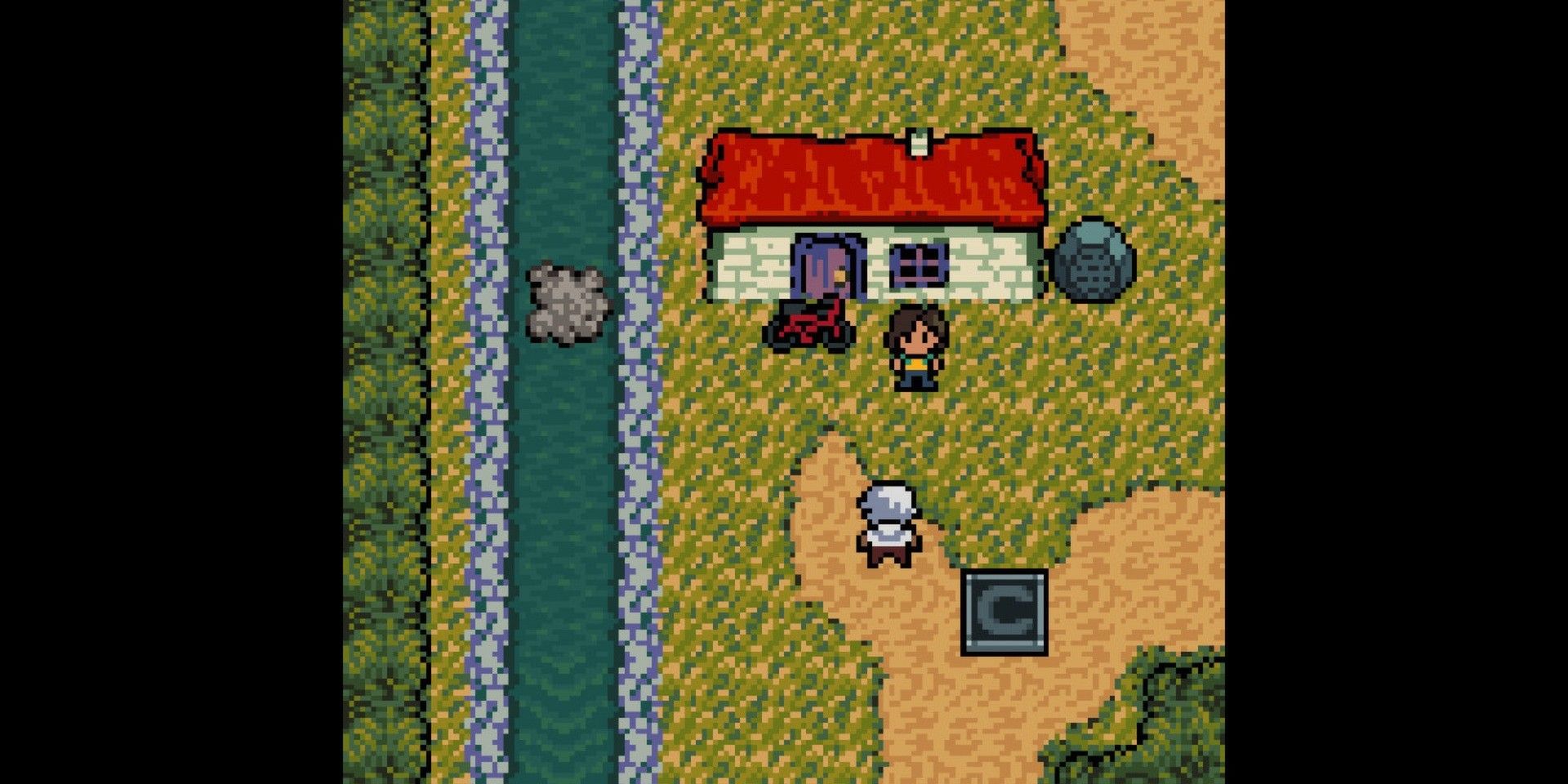 Anodyne screenshot of Young looking at an NPC in front of a house