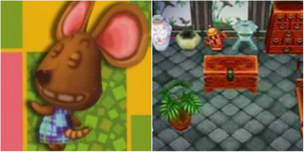 Split image screenshots of Chico's card and Chico's house in Animal Crossing.