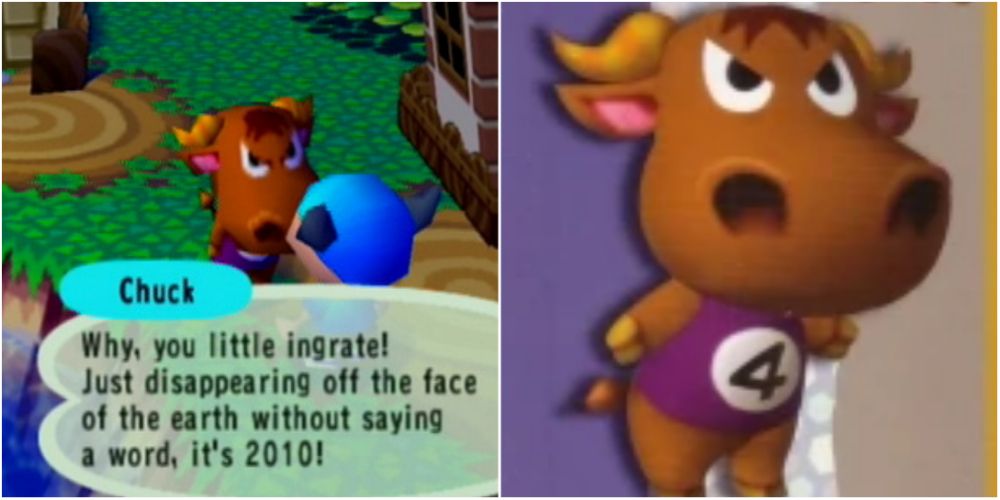 Split image screenshots of Chuck in Animal Crossing and a close-up of Chuck's card.