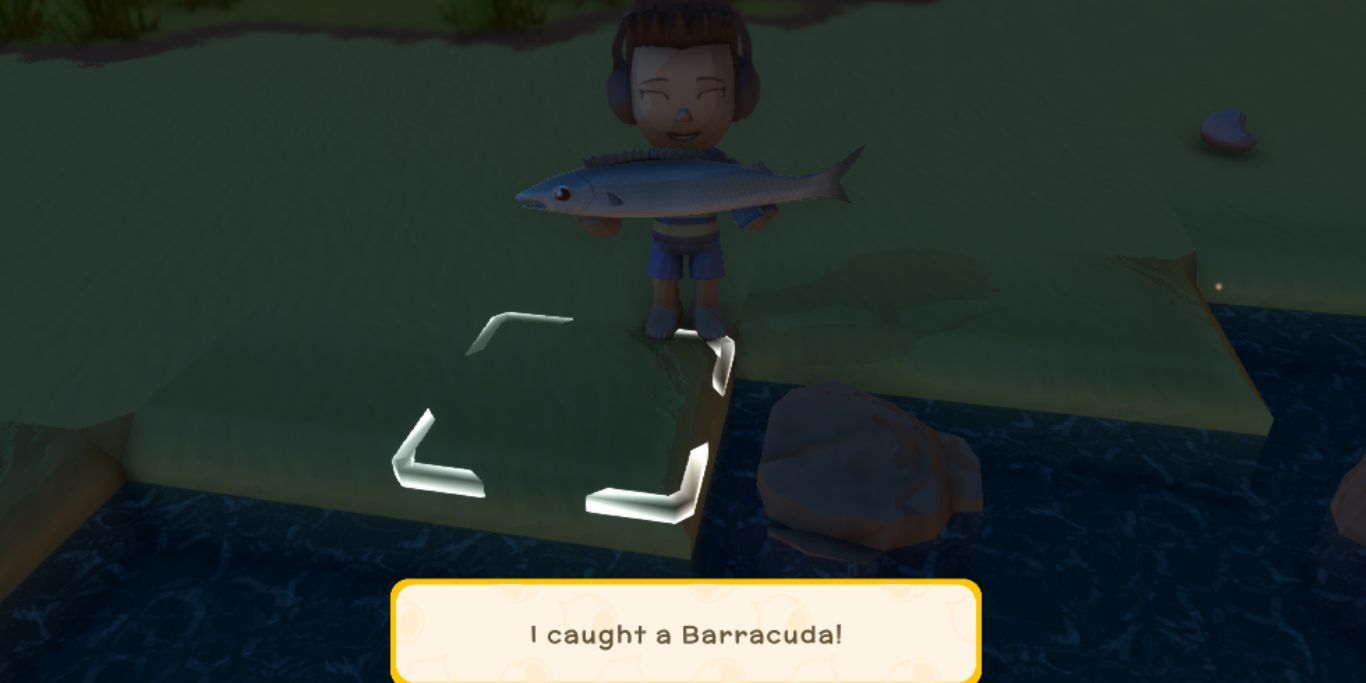 Dinkum Barracuda