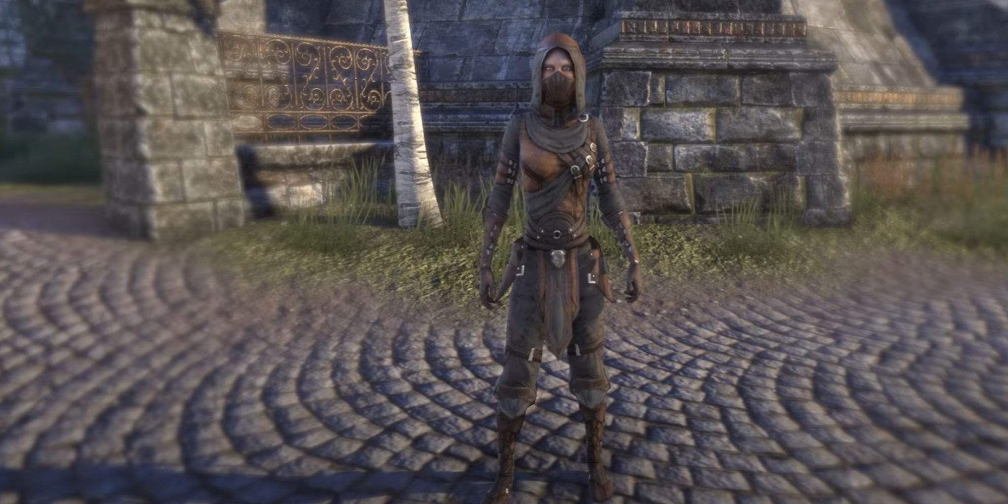 ESO Character Wearing The Thieves Guild Leathers