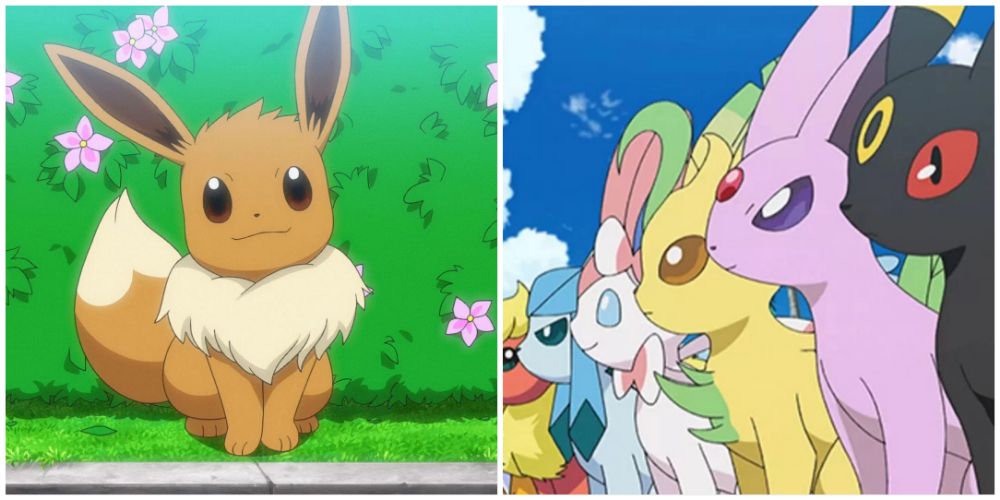 Split image screenshots of Eevee and the Eeveelutions in a row in the Pokemon anime.