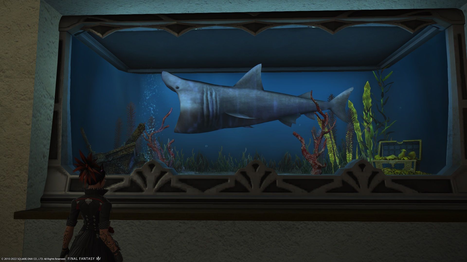 FF14 Eorzean Aquarium player looking at basking shark