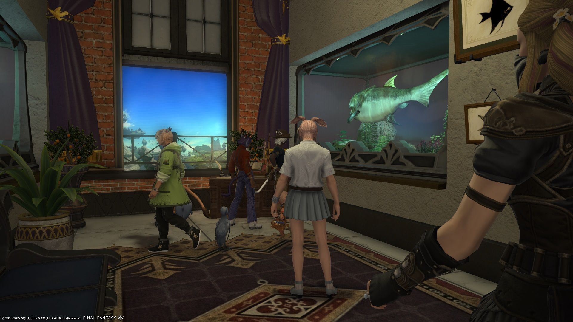 FF14 Eorzean Aquarium players in the fish of lakeland exhibit