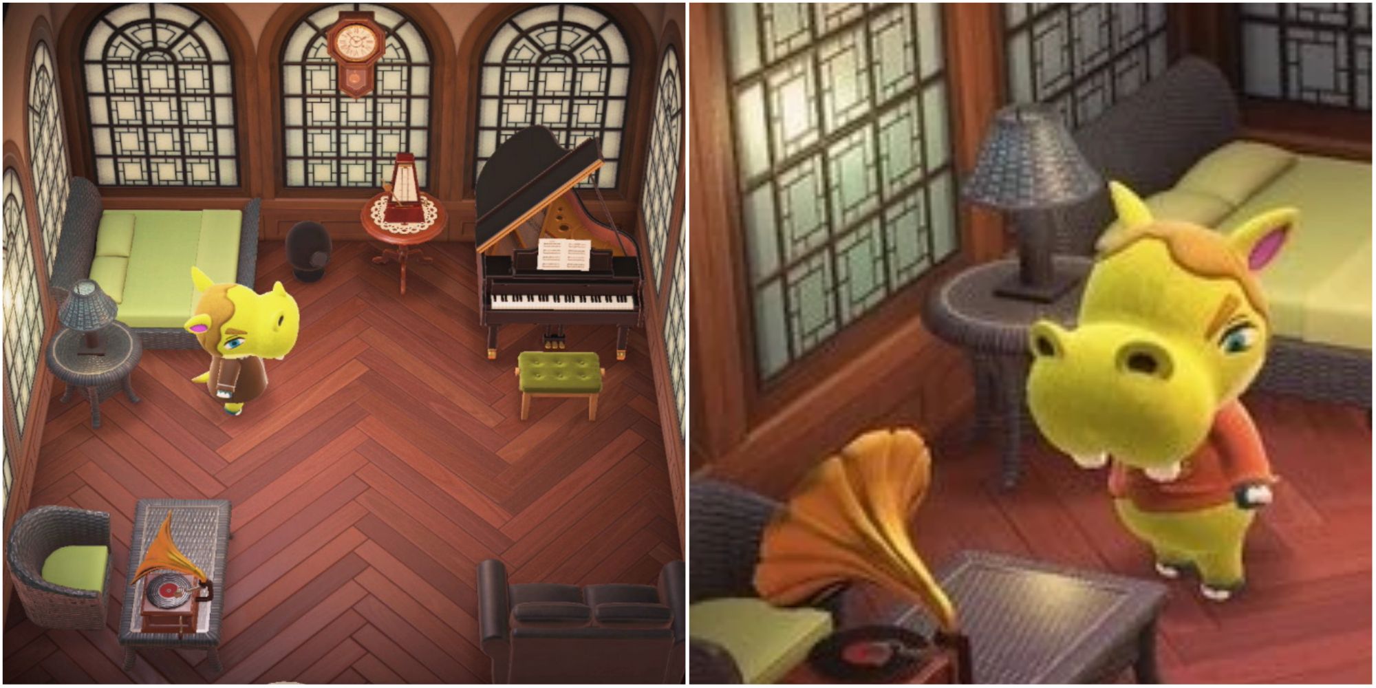 Split images of Hippeux in his house in Animal Crossing New Horizons and a close-up of Hippeux.