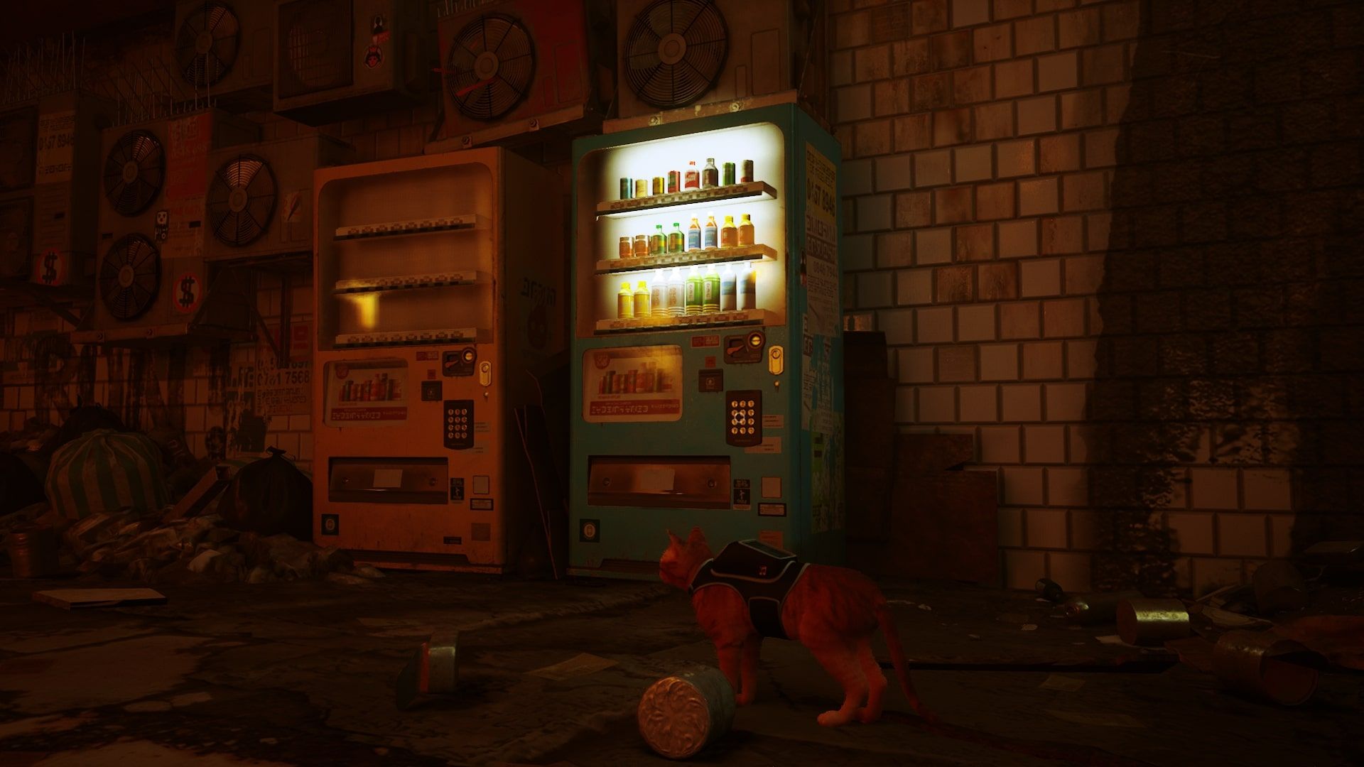 Stray Vending Machine near Morusque