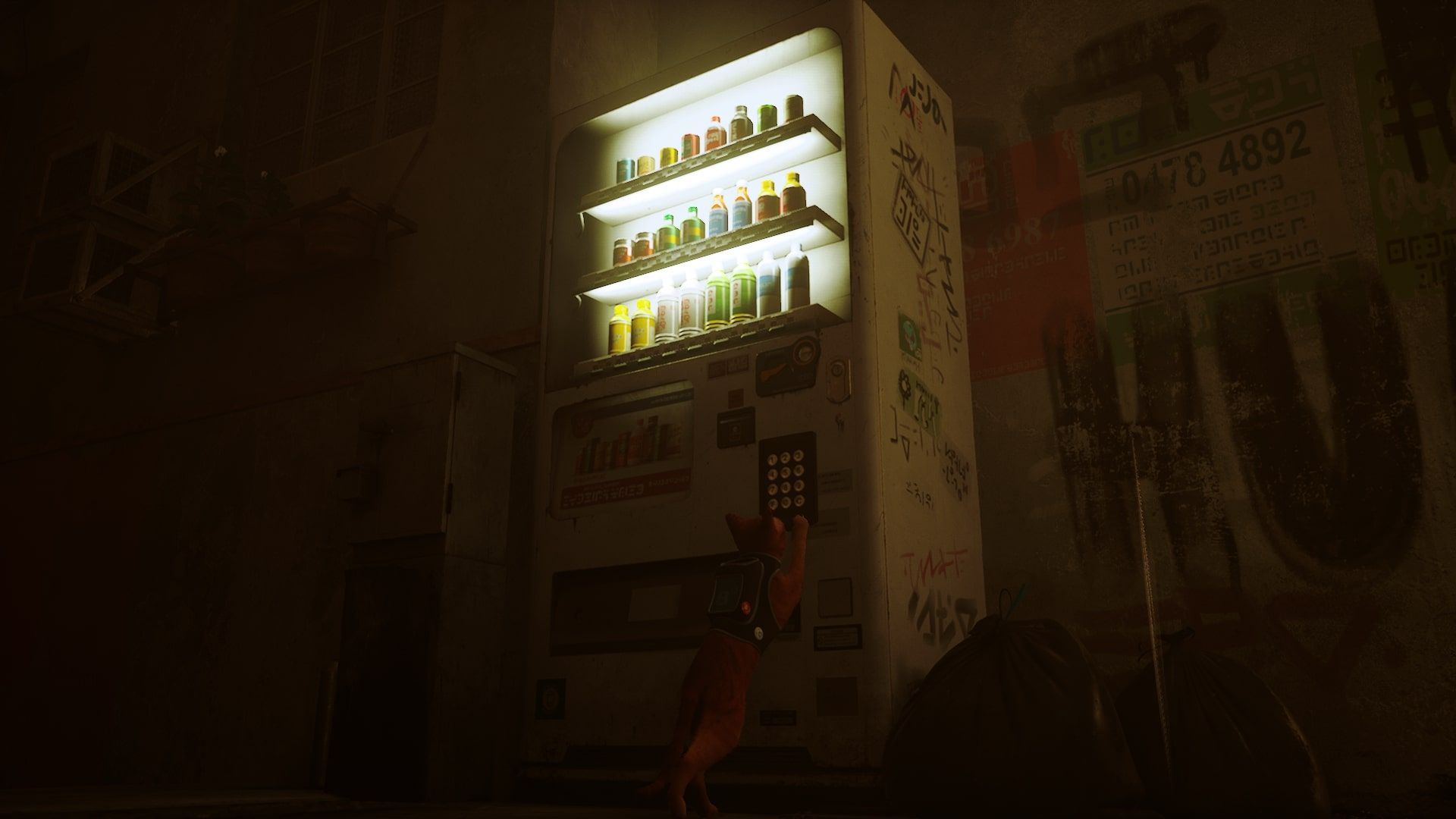 Stray back alley vending machine