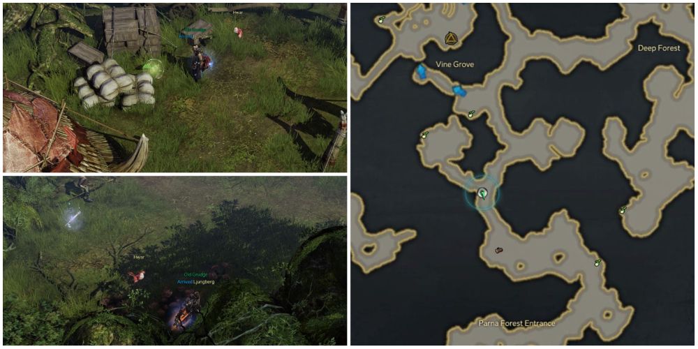Lost Ark 2nd and 3rd mokoko seed locations in Parna Forest