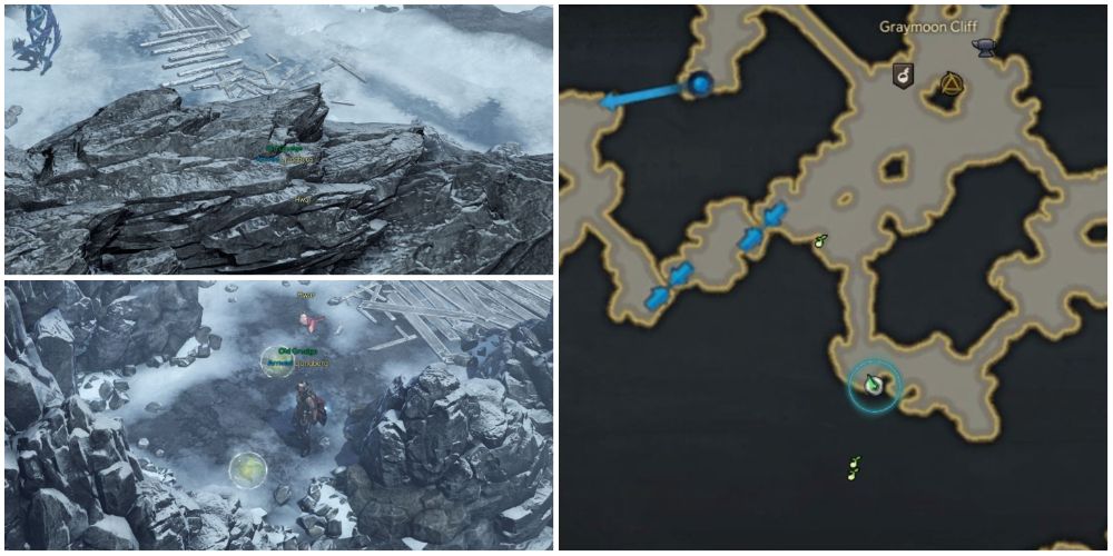 Lost Ark 3rd and 4th mokoko seed locations in Icewing Heights