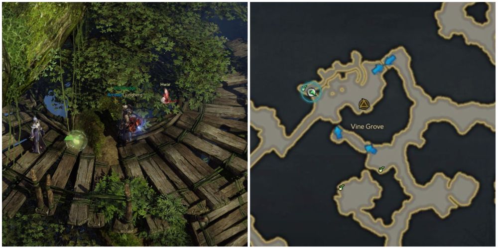 Lost Ark 4th mokoko seed location in Parna Forest