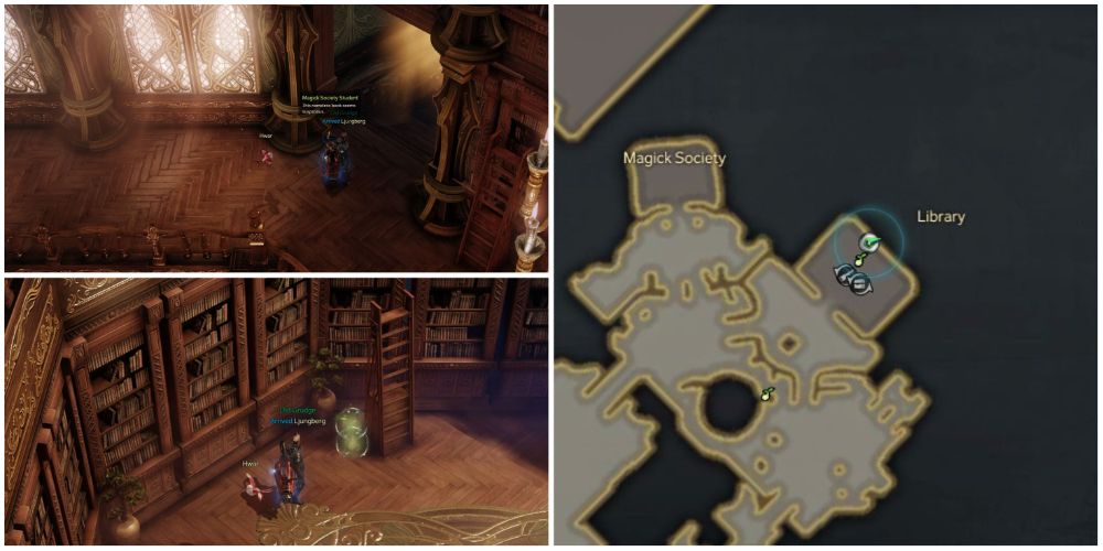 Lost Ark 5th and 6th Vern Castle mokoko seed locations