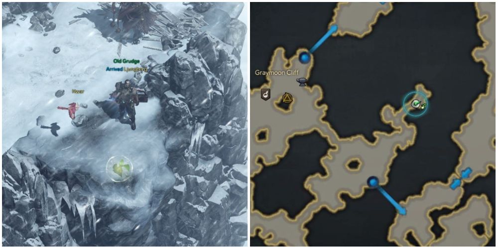 Lost Ark 5th mokoko seed location in Icewing Heights