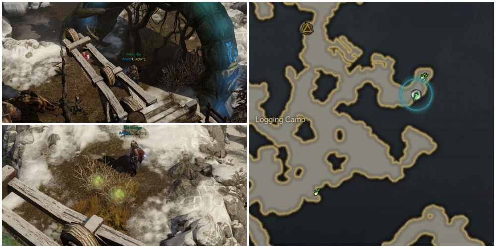 Lost Ark 6th and 7th mokoko seed locations in Lake Eternity