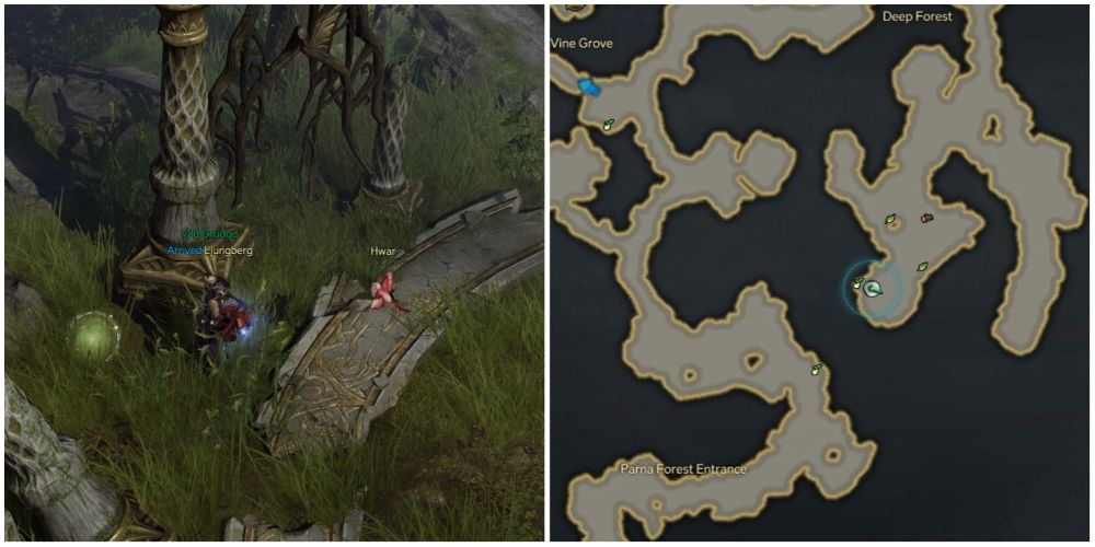 Lost Ark 6th mokoko seed location in Parna Forest