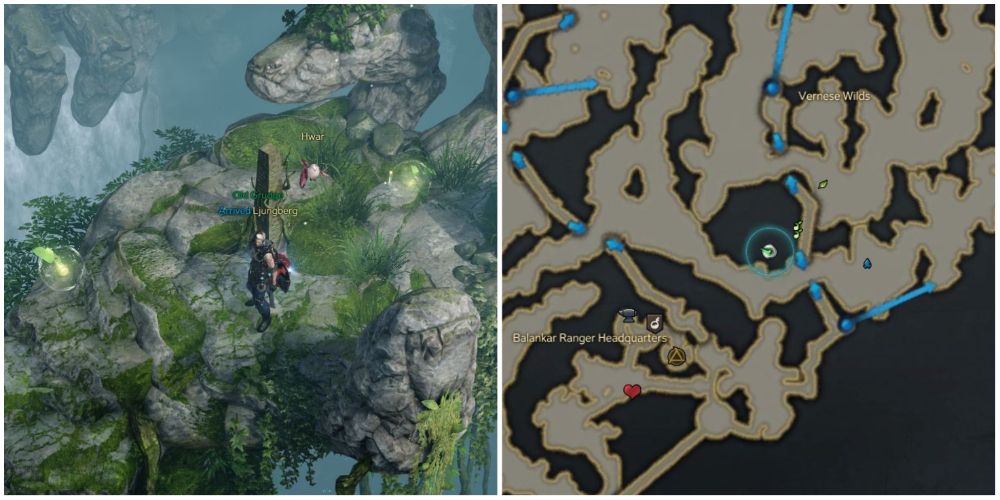 Lost Ark 7th and 8th mokoko seeds in Vernese Forest