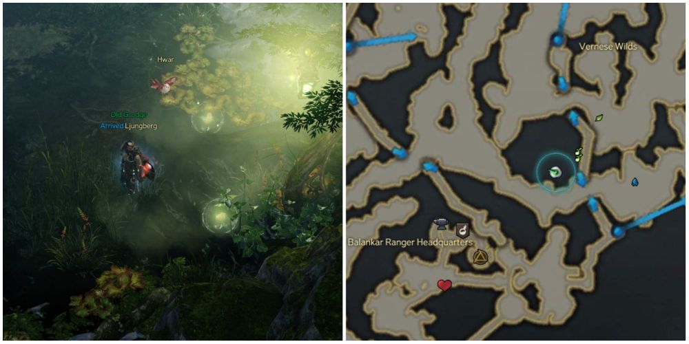 Lost Ark 9th and 10th mokoko seeds in Vernese Forest