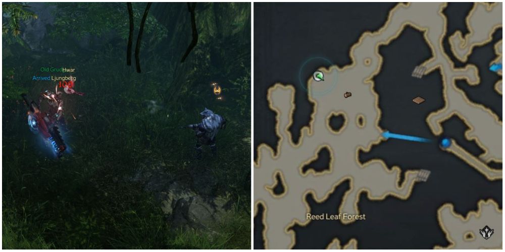 Lost-Ark-North-Vern-monster-location-zealous-leopard-hunter-1
