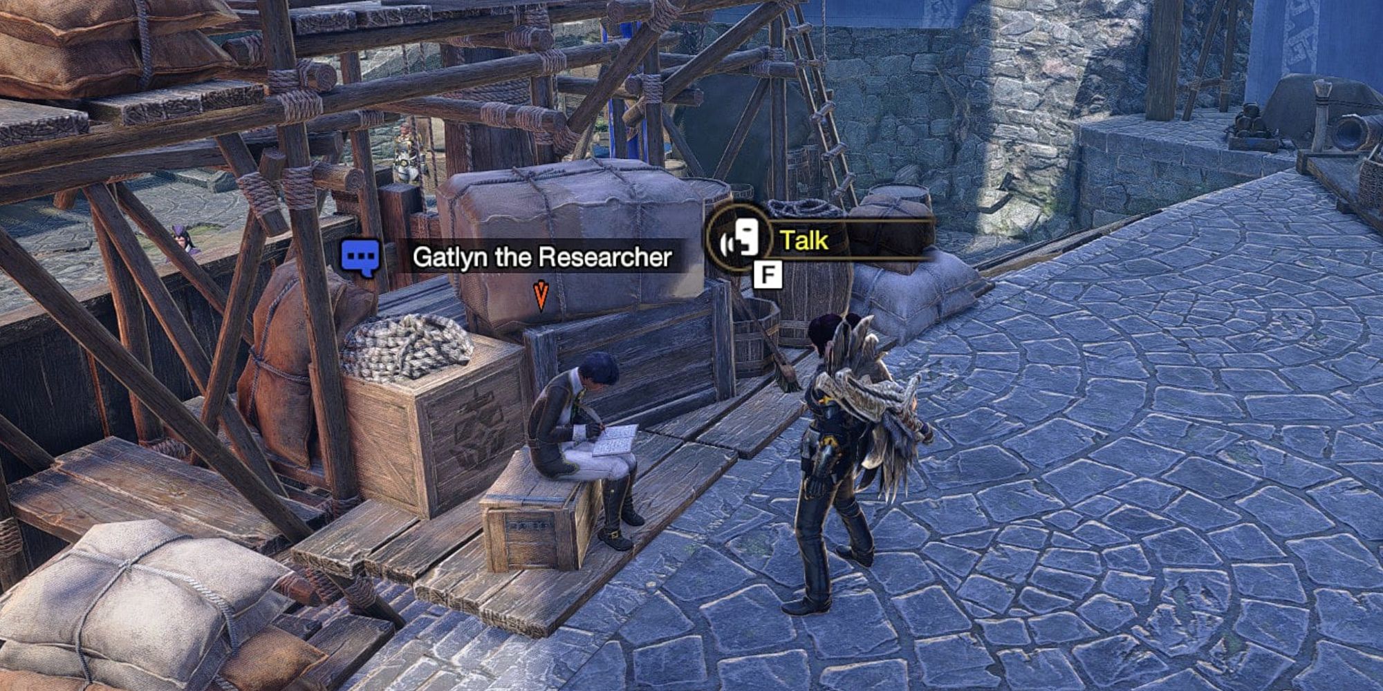 Gatlyn the Researcher in Monster Hunter Rise: Sunbreak