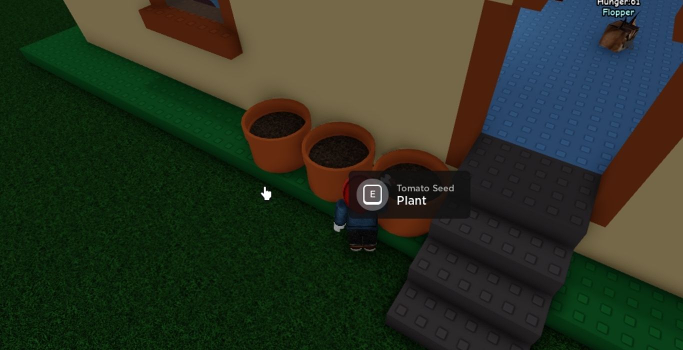 Where To Buy Plants And Find Seeds In Roblox Raise A Floppa 2