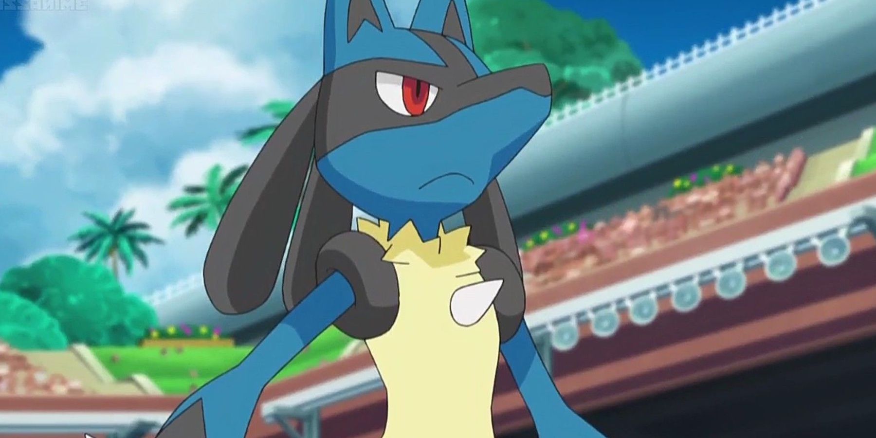 Pokemon Anime Lucario stands at the ready.