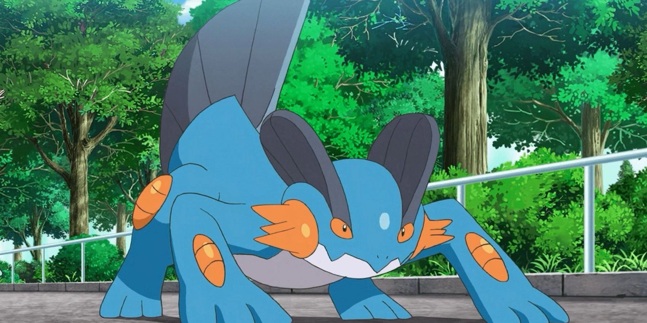 Pokemon Anime Swampert prepares to lunge.