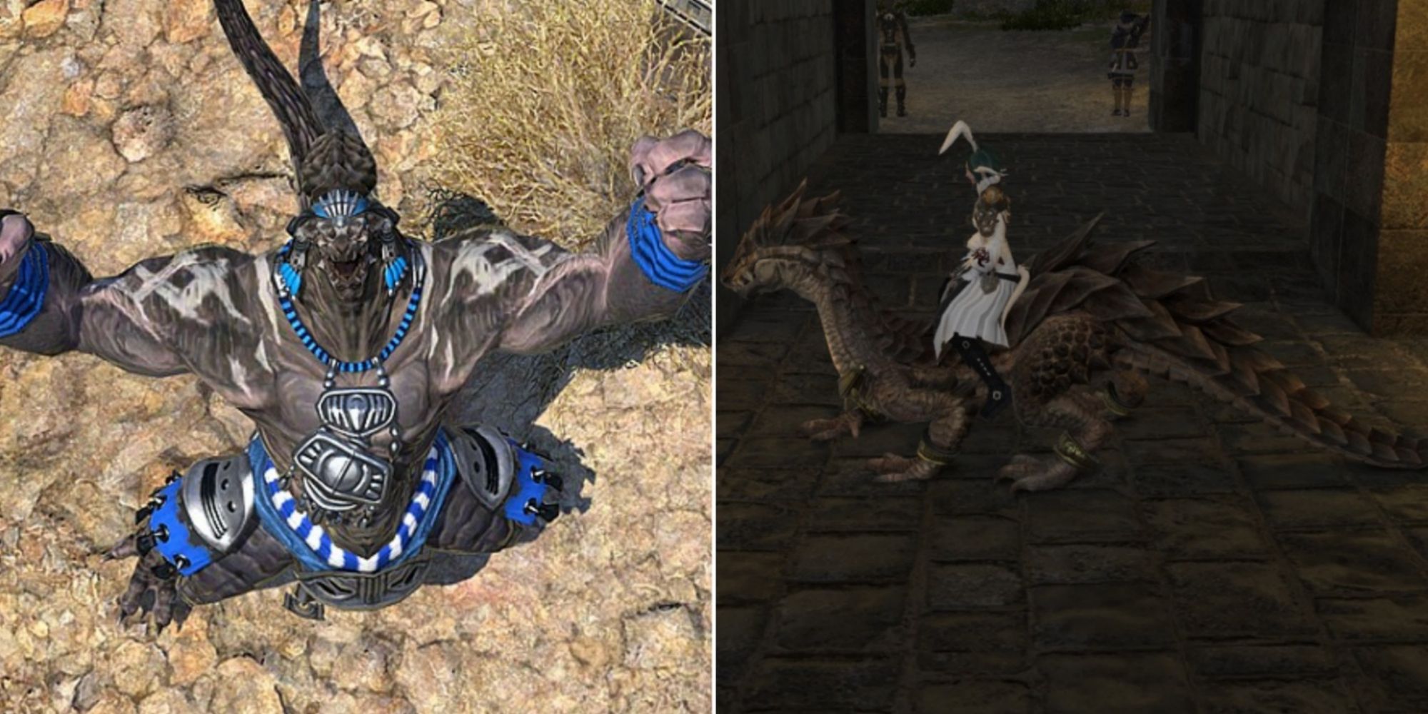 ff14 amaljaa cavalry drake and tribal quest by Mico90 and Izumi from ffxivconsolegameswiki.com