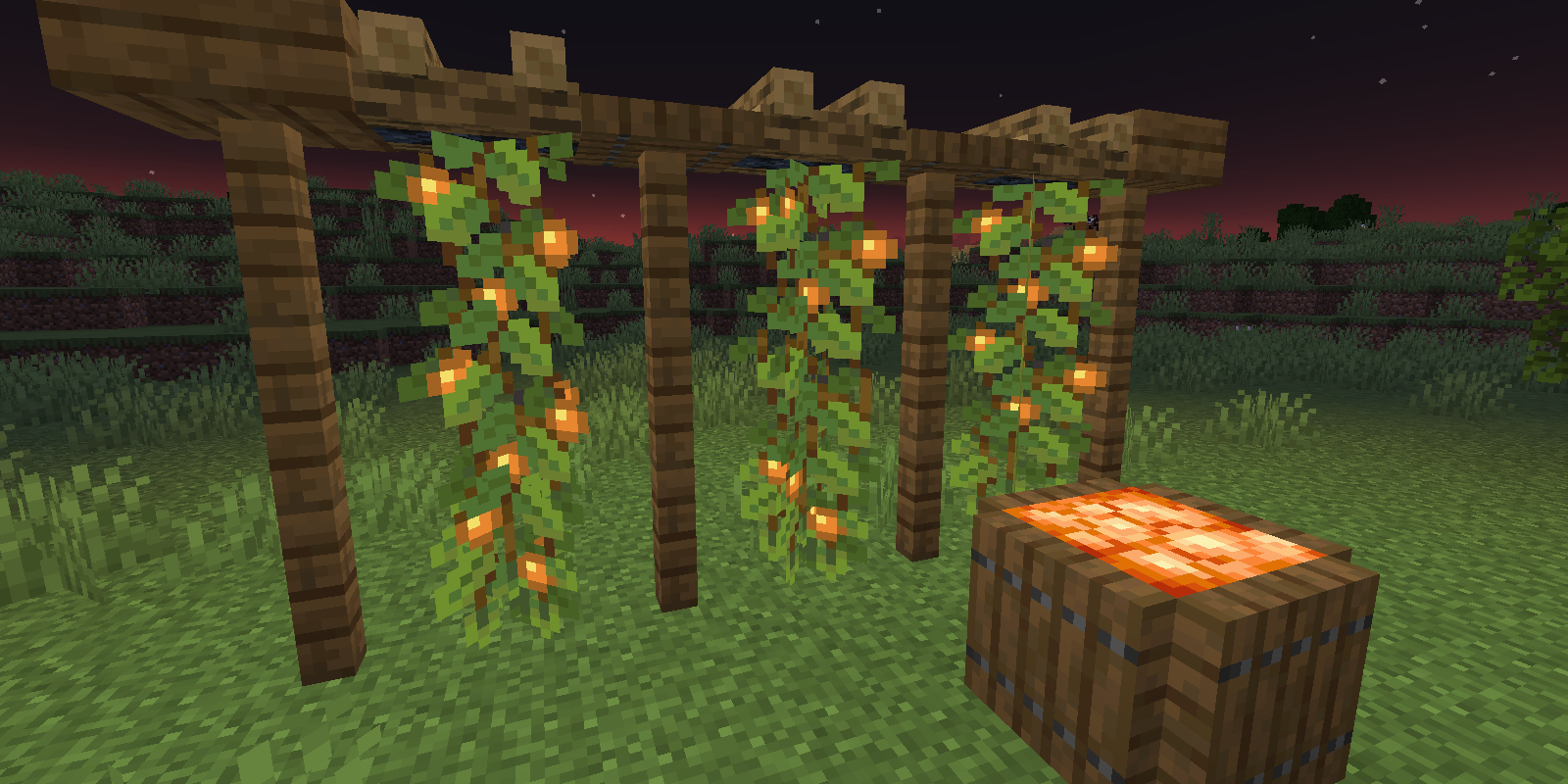 Minecraft Glowberry On Fence Trellis Growing