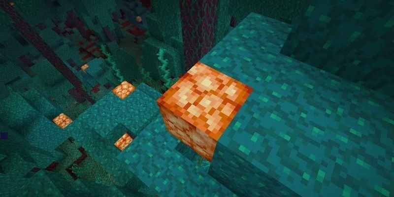 Minecraft Warped Blue Fungus Fungal Forest Shroomlight In Nether